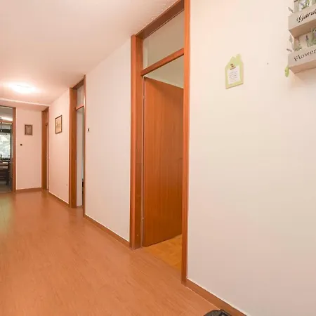 Apartment Rikli *
