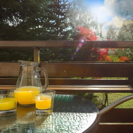 Lejlighed Rikli Bled